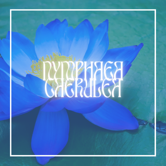 Blue Lotus (Nymphaea Caerulea)